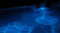 night swimming lighting insects temperature