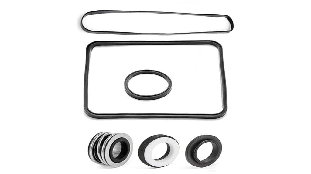pool pump o ring replacement