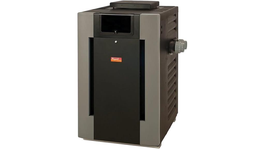 raypak millivolt pool heater