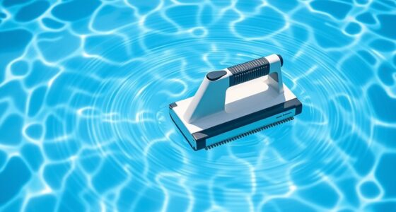 top manual pool vacuums