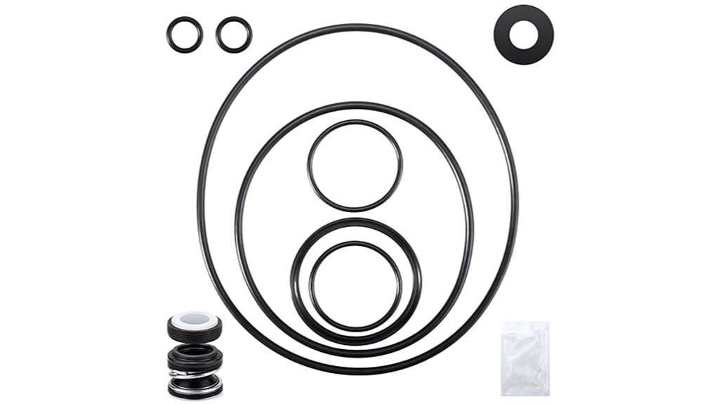 pentair pool pump o ring