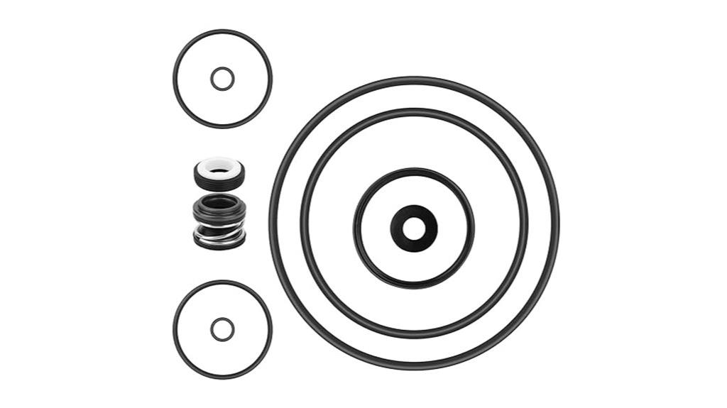 pentair pool pump o ring