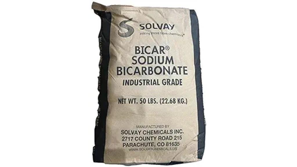 pool alkalinity increase