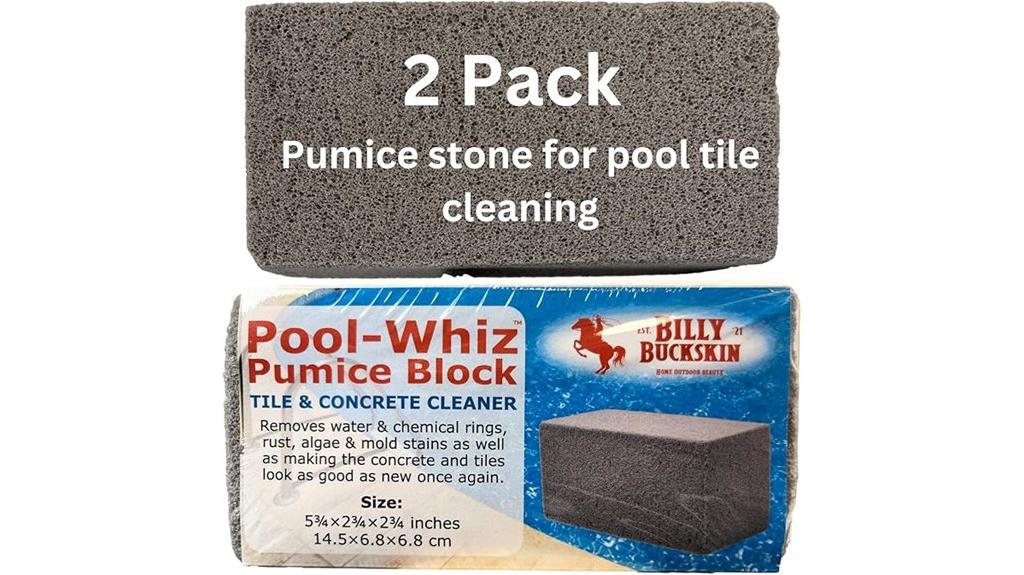 pool cleaning pumice stones
