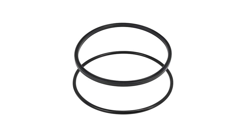 pool filter pump seals