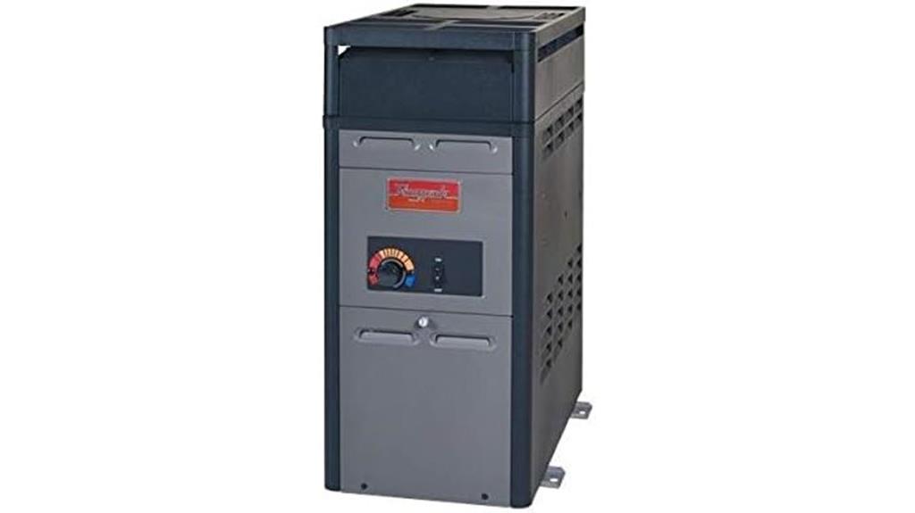 pool heater natural gas