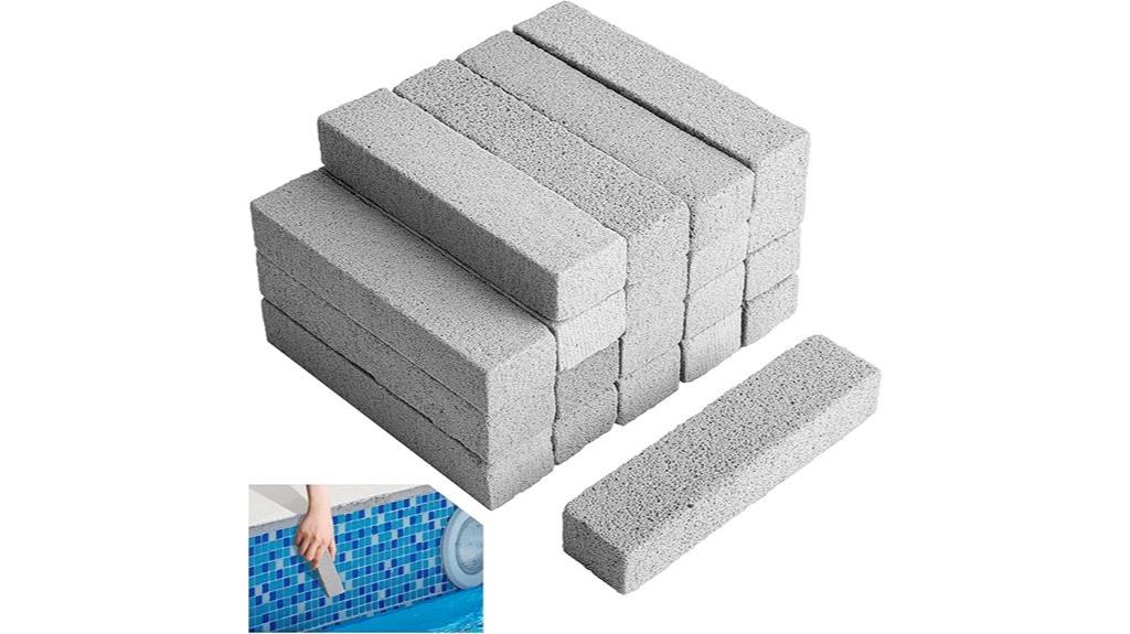 pool pumice stone set