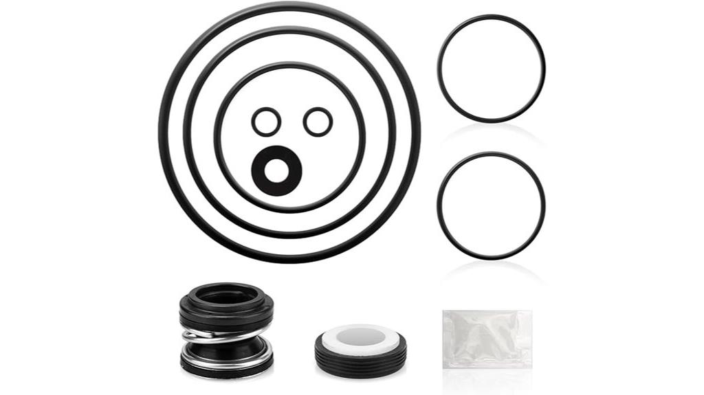 pool pump o ring kit