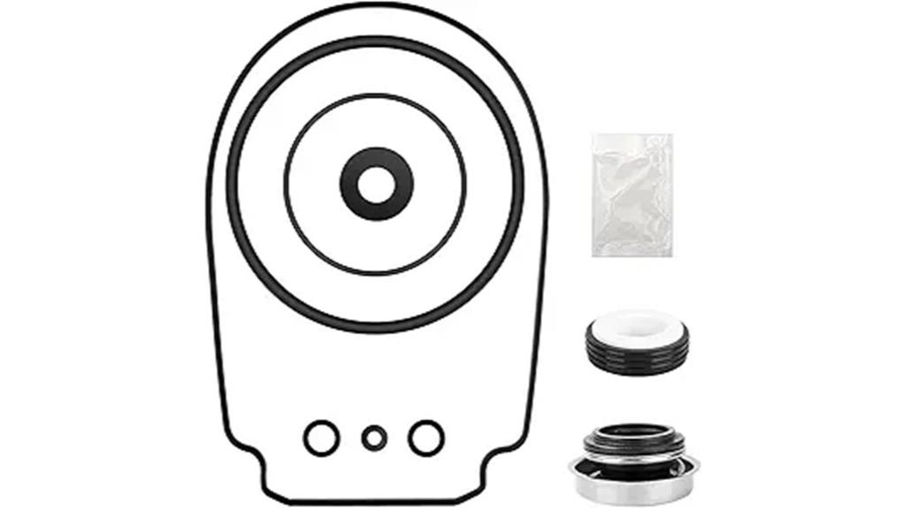 pool pump o ring replacement