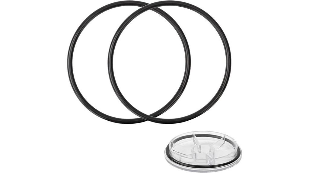 pool pump o ring set
