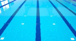 top pool lane line options
