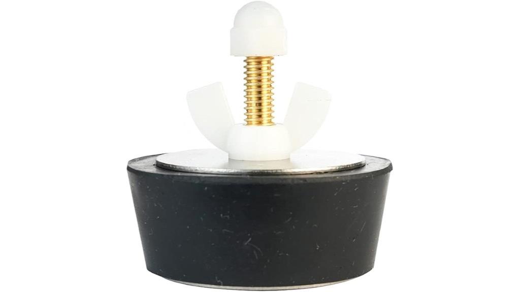 winter plug with schrader