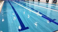 aquatic space organization techniques