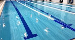 aquatic space organization techniques