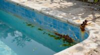 older pool renovation priorities