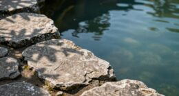 pool coping stones edging