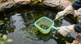 13 Best Pond Algae Removers in 2026