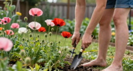 Auckland: Time To Plant A Whole Field Of Tall Poppies - Newsroom