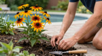 These 6 Self-Seeding Flowers Come Back Every Year Without Becoming Invasive