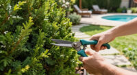 10 Front-Yard Shrubs Landscape Designers Love But Anyone Can Grow – They Need Almost No Watering