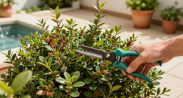 6 Plants You Should Prune In September For A Tidy Fall Garden – Plus, Which Plants You Should Leave