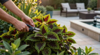 Every Garden Needs One Plant That Makes A Border Look Expensive – These 6 Add Wow Factor With Almost No Effort