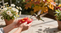 Feeding Hummingbirds This Fall? These 5 Sweet Spot Secrets Help You To Keep Your Hummers Safe And Happy