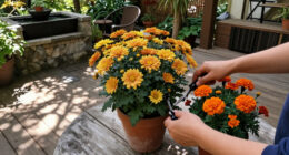 7 Low-Maintenance Fall Flowers That Look Spectacular With Barely Any Effort