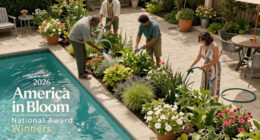 Announcing The 2026 America In Bloom National Award Winners