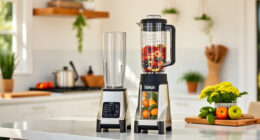 Beat the Summer Heat with the Ninja Blast Portable Blender