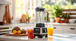 Beat the Summer Heat with the Ninja Professional Blender