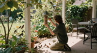 Birds Ignoring Your New Feeder? Try These 7 Simple Fixes To Tempt Them In