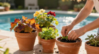 Fill Patio Pots With Vibrant Plants That Last From Fall Into Winter For A Wonderfully Colorful Cool-Season Display