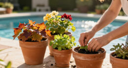 Fill Patio Pots With Vibrant Plants That Last From Fall Into Winter For A Wonderfully Colorful Cool-Season Display