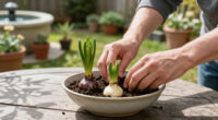 How To Plant Hyacinth Bulbs In September For Bowls Of Fragrant Christmas Flowers