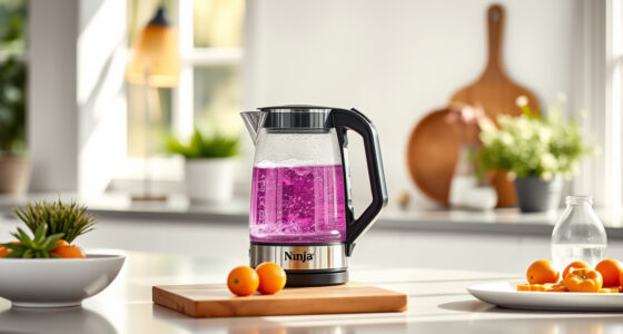 Ninja KT200BL Precision Temp Kettle vs Typical Competitors: The Summer Water Companion