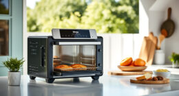 Summer Care & Troubleshooting Guide for Ninja Foodi XL Pro Air Oven