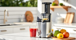 Summer Refresh: Must-Have Accessories for Your Ninja NeverClog Juicer