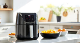 Summer Tips & Hacks for the Ninja Air Fryer 4 Qt – Perfect Poolside Snacks