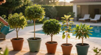 These 5 Trees Grow Beautifully In Containers, And September Is The Perfect Time To Plant Them