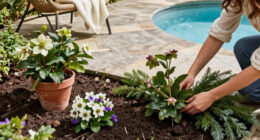 12 Plants To Add To Your Garden Now For Winter Beauty