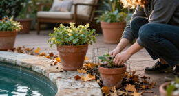 7 Plants You Need To Protect From Animals (Not The Cold) In October – Before Winter Damage Is Done