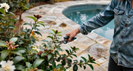 7 Shrubs And Trees You Should Never Prune In October – Or You Could Sacrifice Next Spring’s Blooms