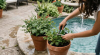 Goldie Hawn’s Fountain Is Surrounded By Plants – And It’s A Masterclass In Planting Around Water