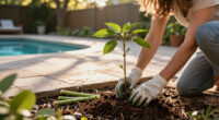 How To Get Rid Of Tree Of Heaven Without Making The Problem Worse