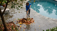 My Garden Is Littered With Leaves And Branches From My Neighbour's Tree After Storm Boelo – I Asked Legal Experts Whose Responsibility It Is To Clear It Up