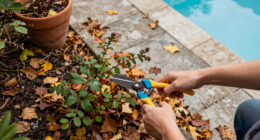 Pamela Anderson's Fall Cleanup Video Is A Reminder To Tackle These 2 Garden Jobs Now