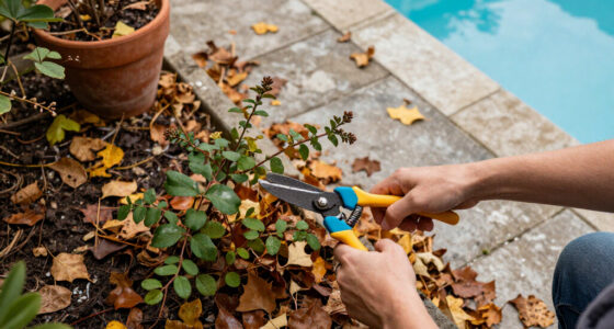 Pamela Anderson's Fall Cleanup Video Is A Reminder To Tackle These 2 Garden Jobs Now