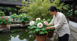 Plants For Luck, Love And Long Life: 9 Chinese Garden Favourites