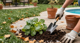 The Best Time To Move These 6 Backyard Plants Is Fall – To Make Sure They Get A Better Start Next Year